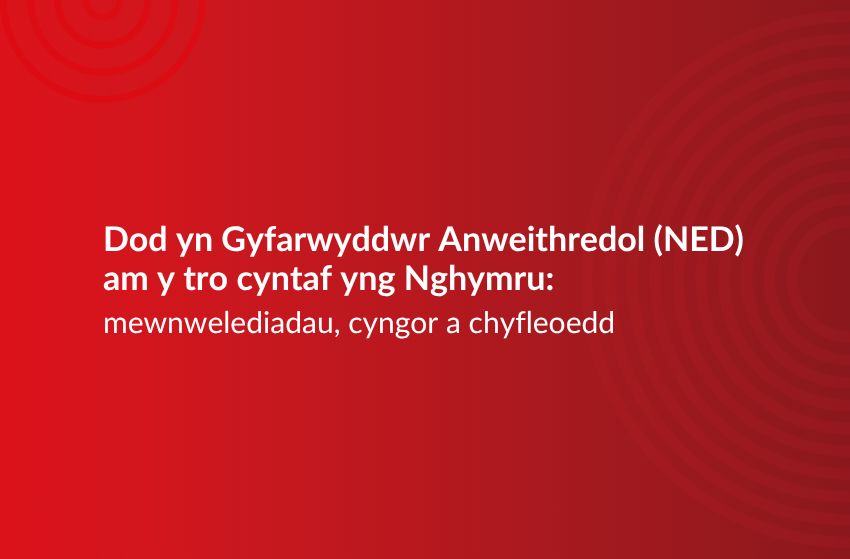 mewnwelediadau, cyngor a chyfleoedd