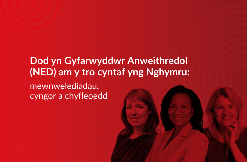 mewnwelediadau, cyngor a chyfleoedd